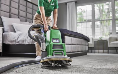 Everything You Need to Know About Chem-Dry vs. Steam Cleaners