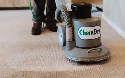 5 Ways to Prepare for a Carpet Cleaning With Precision Chem-Dry