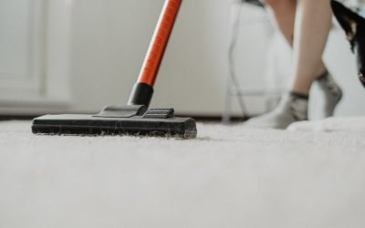 Proper Carpet Care Tips From an Expert