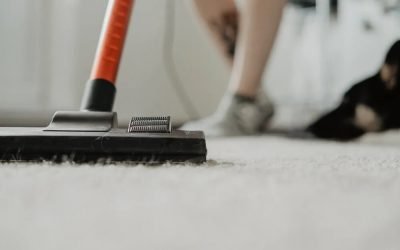 Common Carpet Cleaning Mistakes