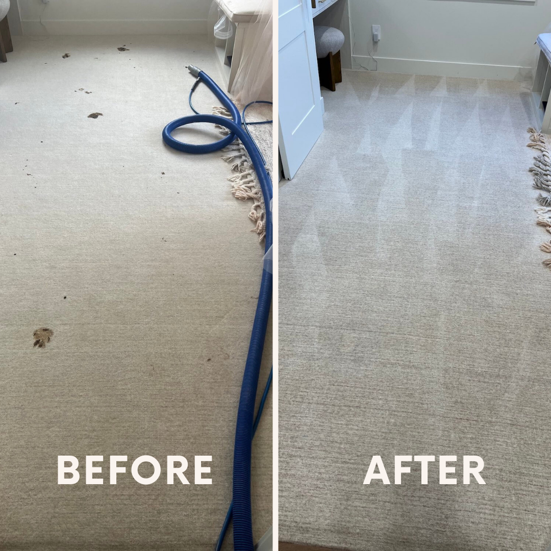 before and after pet urine removal in salt lake city ut