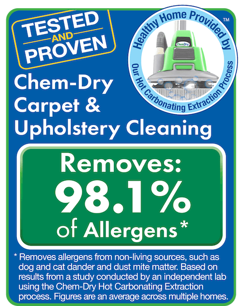 chem-dry carpet and upholstery cleaning results