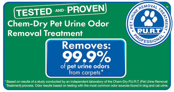 chem-dry removes 99.9% of pet urine odors from carpets