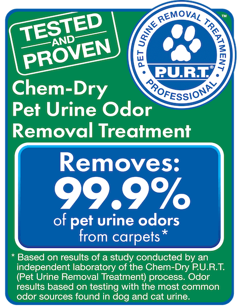chem-dry purt cleaning results